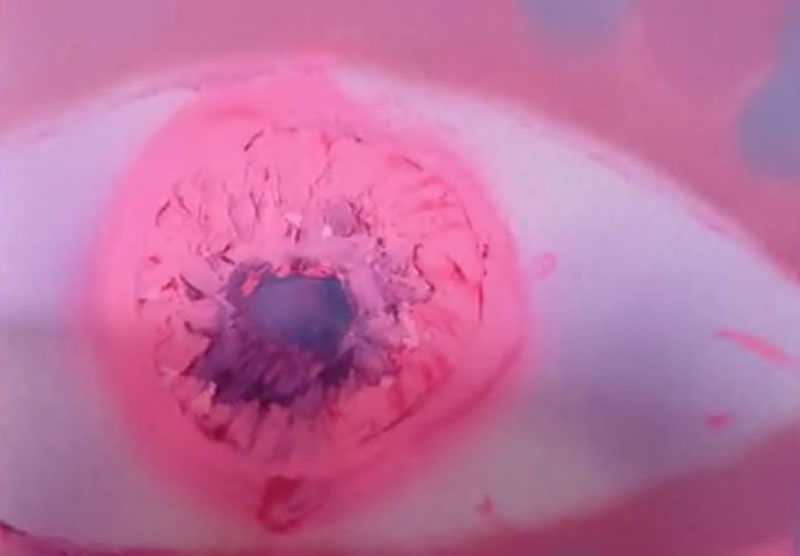 Cadalso de los Vidrios | Cadalso de los Vidrios celebró la II Feria del Puchero los días 25 y 26 de octubre