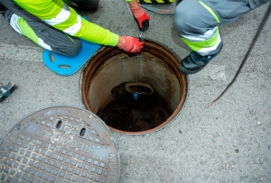 Boadilla del Monte |  Continúa la campaña de choque de control de roedores e insectos en el municipio