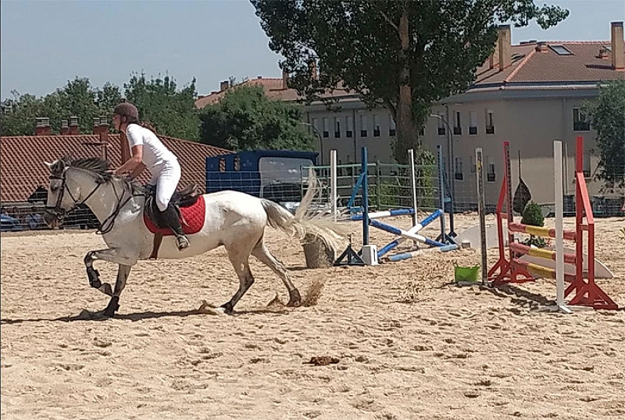 Los Molinos | Gran éxito de participación en la I Feria del Caballo de Los Molinos