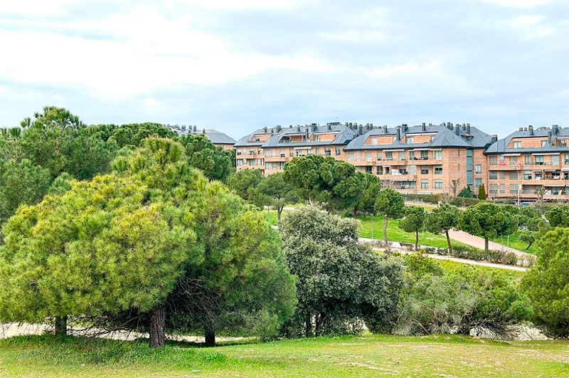 Majadahonda | Naciones Unidas reconoce a Majadahonda como “Tree city of the world”