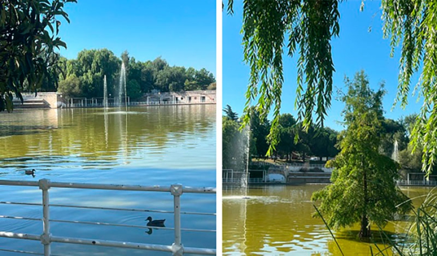 Collado Villalba | La Laguna del Carrizal cuenta con dos nuevos géiseres flotantes de 6 metros de altura