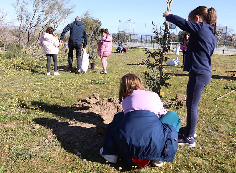 Sevilla la Nueva | Sevilla la Nueva es reconocida como ‘Ciudad del Árbol’