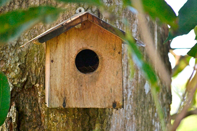 Arroyomolinos | El Ayuntamiento presenta su programación con motivo del Día Mundial del Medio Ambiente