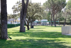 Boadilla del Monte | La piscina municipal abre sus puertas, desde hoy hasta el 3 de septiembre, manteniendo sus precios