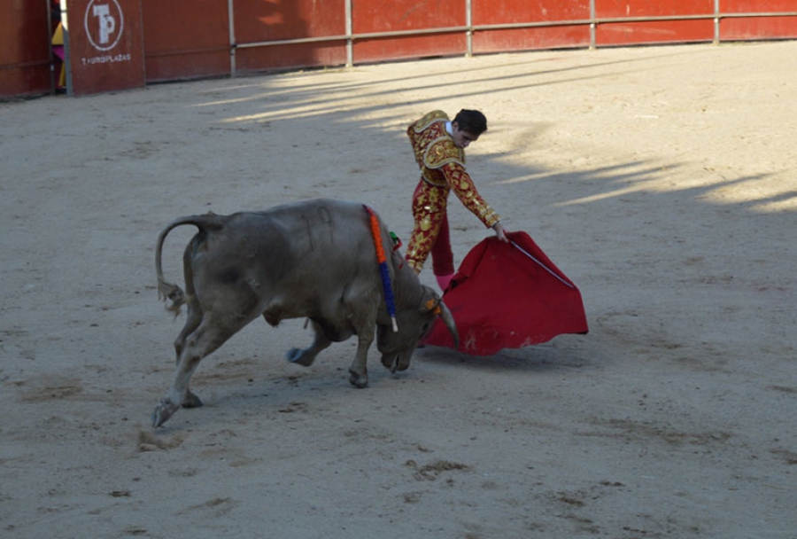 Humanes de Madrid | Celebrada en Humanes de Madrid una novillada sin picadores