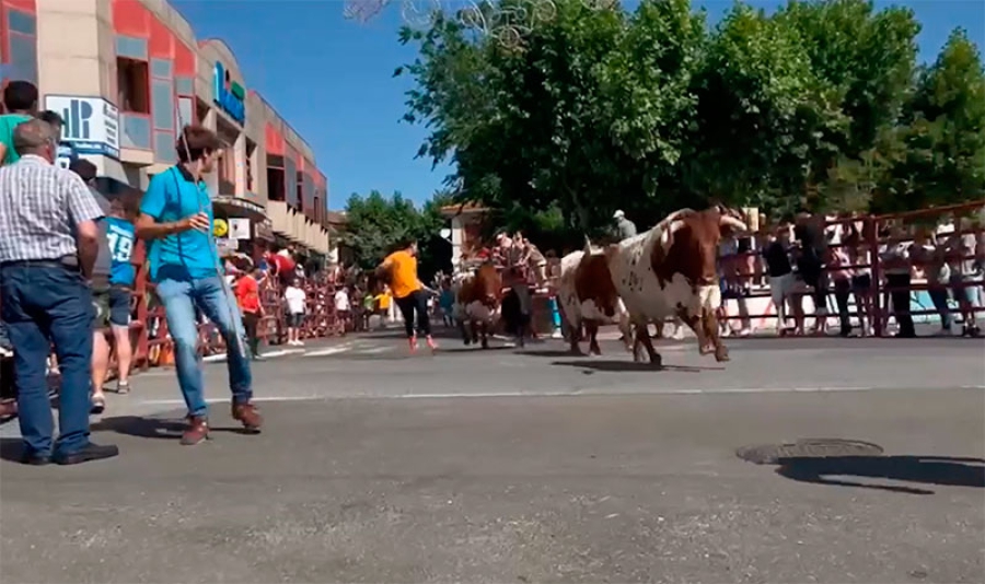 Navas del Rey | Navas del Rey vivió con intensidad sus Fiestas en honor a San Antonio de Padua