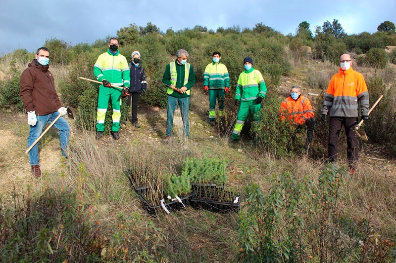 Robledo de Chavela | El municipio cuenta con la plantación de un centenar y medio de nuevos árboles