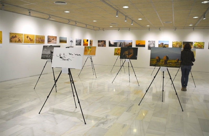 Boadilla del Monte | El Centro de Formación acoge la exposición fotográfica "Mis memorias de África"
