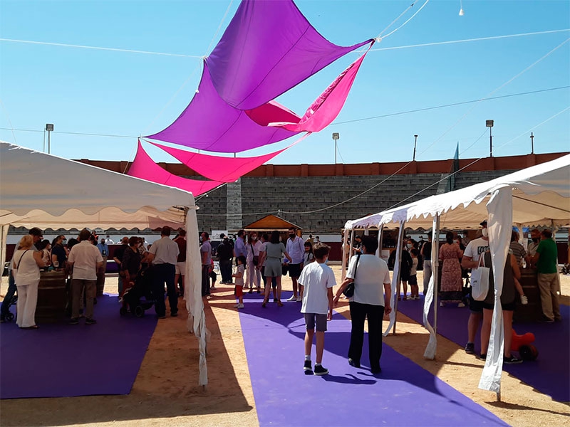San Martín de Valdeiglesias | Llega la IV Feria del Vino de San Martín de Valdeiglesias