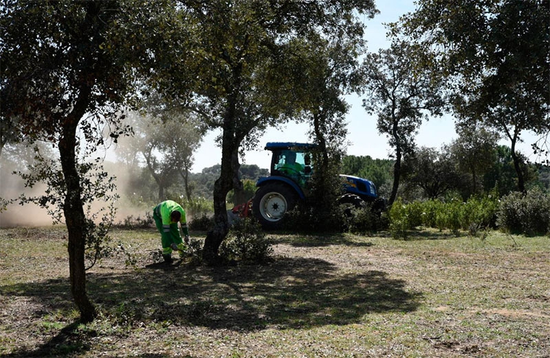Boadilla del Monte | El Ayuntamiento limpia las fajas perimetrales del monte para prevenir incendios forestales