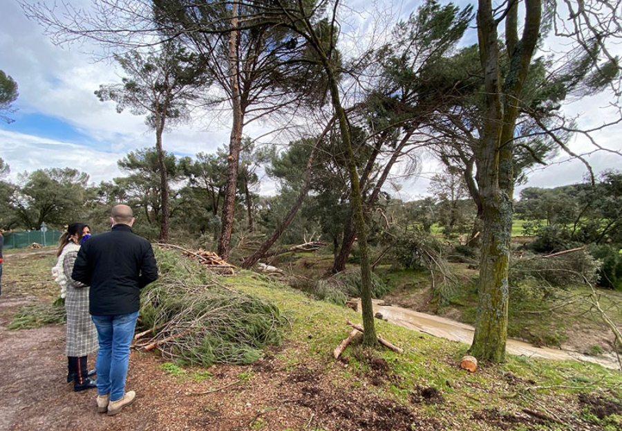 Majadahonda | El Ayuntamiento ya ha reabierto todos los accesos y caminos del Monte del Pilar