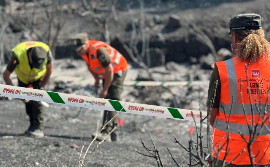 La Comunidad de Madrid investiga la recuperación de los suelos afectados por los incendios forestales del pasado verano en Tres Cantos y Aranjuez