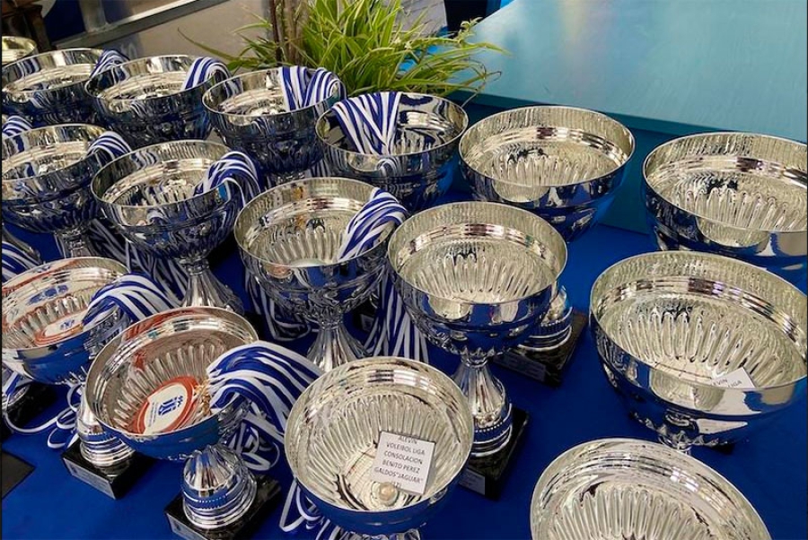 Majadahonda | El Ayuntamiento entrega trofeos a 800 deportistas de los Campeonatos Escolares
