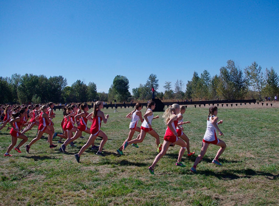 Alpedrete | Alpedrete acogió la final del Cross Escolar ADS