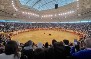 Moralzarzal | Sensacional éxito de la Corrida de Toros XX Aniversario de la Plaza de Toros de Moralzarzal