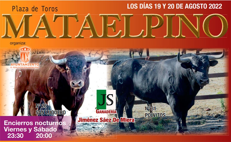 El Boalo, Cerceda, Mataelpino | Regresan las Fiestas a Mataelpino con el tradicional «Boloencierro»