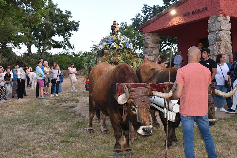 Navacerrada | Navacerrada celebró sus Fiestas en Honor a San Antonio de Padua 2025