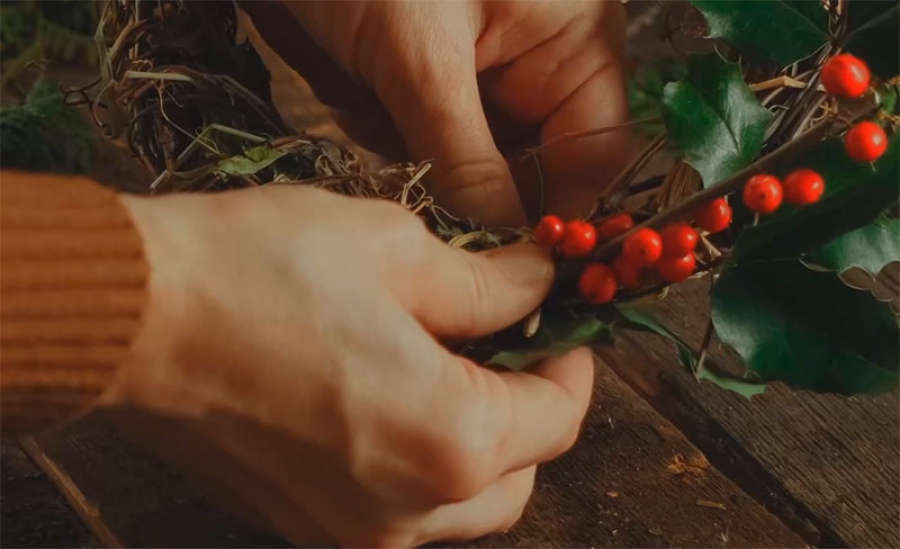 La Comunidad de Madrid recuerda a los ciudadanos las restricciones en la recogida de especies protegidas para su uso como adornos navideños