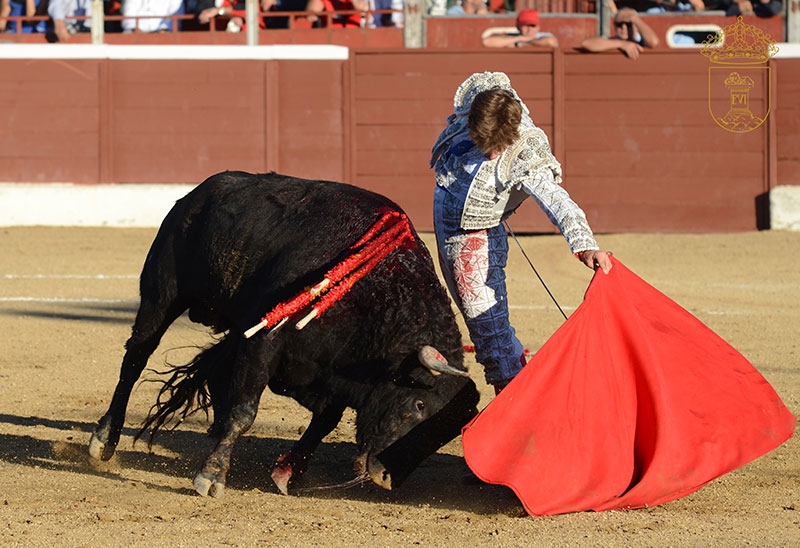 Guadarrama | Elegidos los ganadores de los Premios “Torre de Guadarrama” que reconocen a los triunfadores de la Feria Taurina 2025