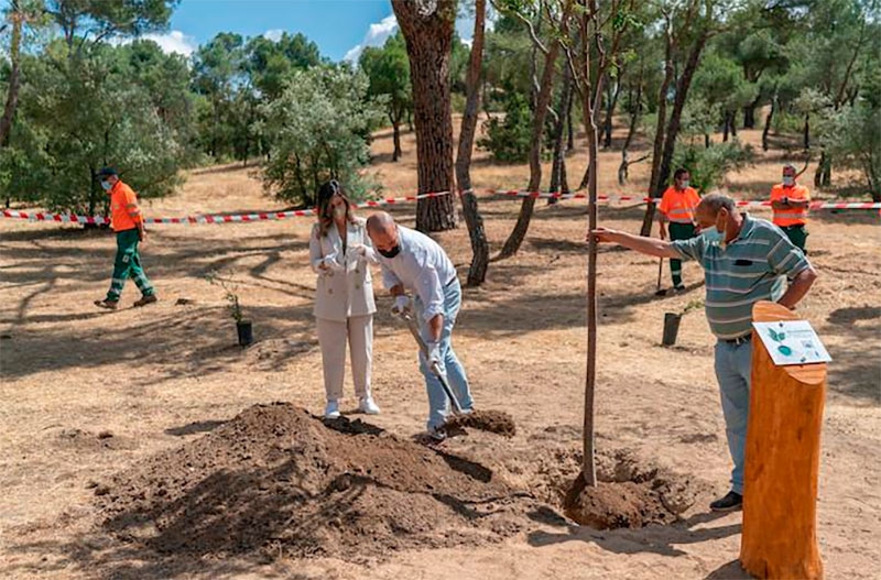 Majadahonda | Majadahonda, galardonada por la FAO y la Arbor Day Foundation por su gestión medioambiental