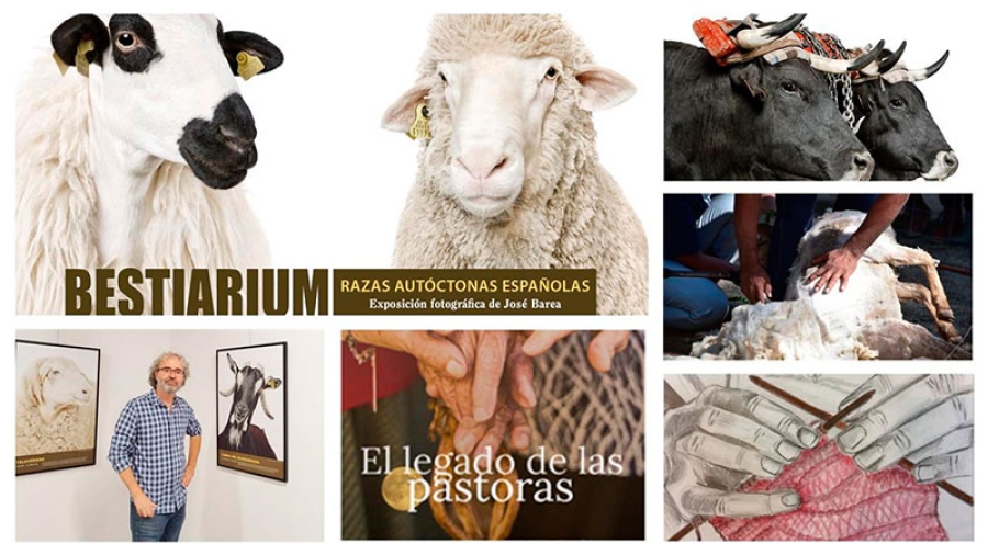 San Lorenzo de El Escorial | Homenaje al mundo rural con un fin de semana de charlas, exposiciones, talleres… y mucho más
