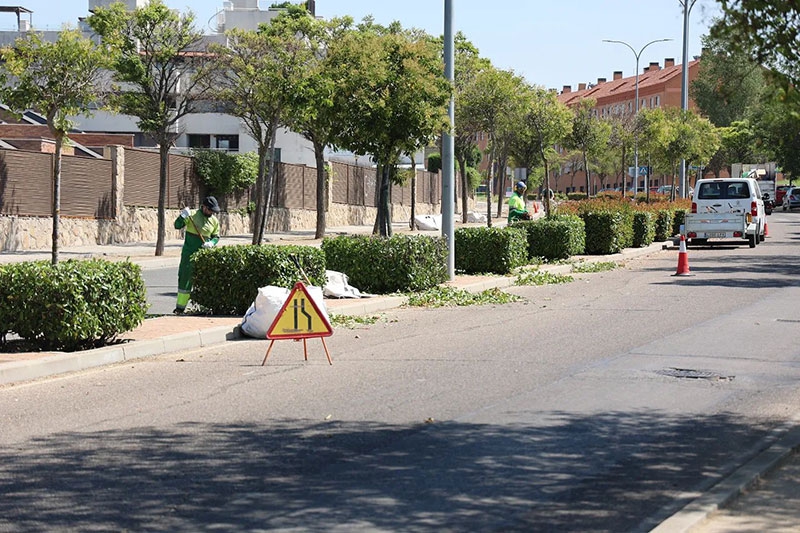 Arroyomolinos | Durante el mes de agosto el Ayuntamiento ha continuado los trabajos de mejora del entorno de Arroyomolinos
