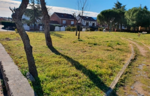Collado Mediano | Área de recreo canina