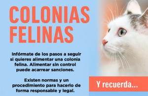 Sevilla la Nueva | Arranca el Plan de Esterilización y Gestión Ética de Colonias Felinas