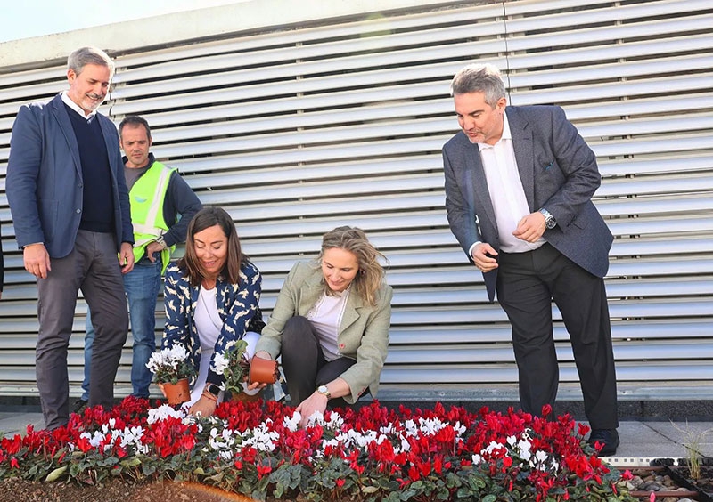 Arroyomolinos | Arroyomolinos ya cuenta con los primeros tejados ecológicos en viviendas sociales para reducir un 10% su consumo energético