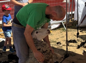 Cercedilla | Numerosos visitantes se dieron cita en la II Feria de Oficios y Tradiciones de Cercedilla