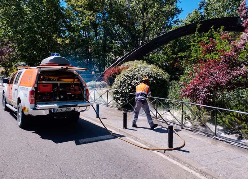 Arroyomolinos | El Ayuntamiento riega y retira la pelusa blanca (vilano) acumulada en parques y jardines para evitar incendios forestales