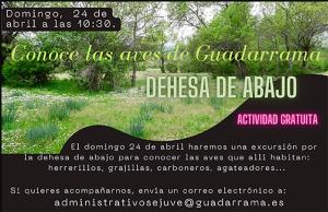 Guadarrama | El Sejuve y Seo BirdLife organizan un recorrido por la Dehesa de Abajo para conocer las aves de Guadarrama