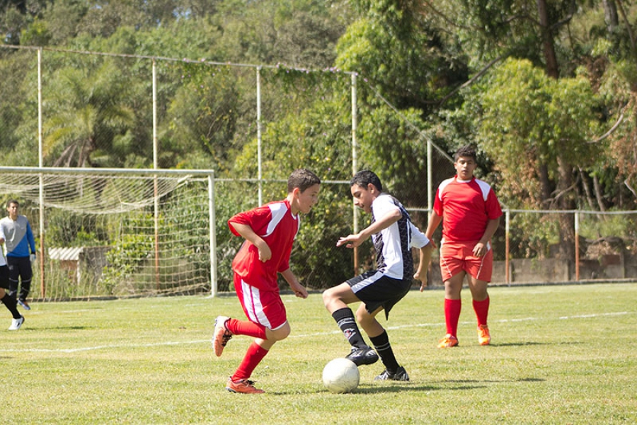 El Boalo, Cerceda, Mataelpino | Campamento Deportivo de Verano