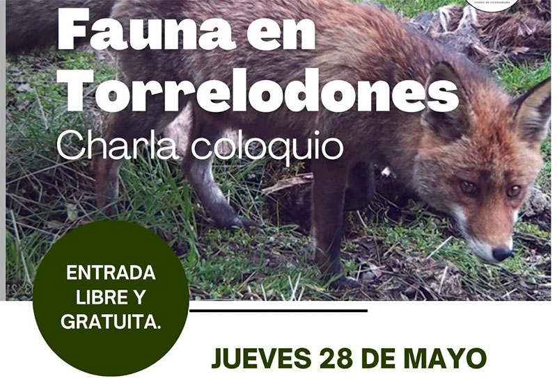 Torrelodones | Conoce la “Fauna en Torrelodones” de la mano de Aula Zíes