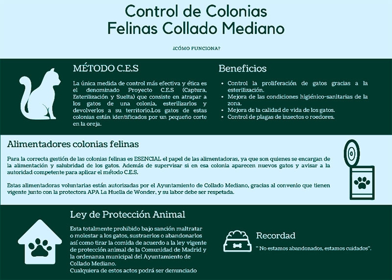 Collado Mediano | El Ayuntamiento lanza un control de colonias felinas