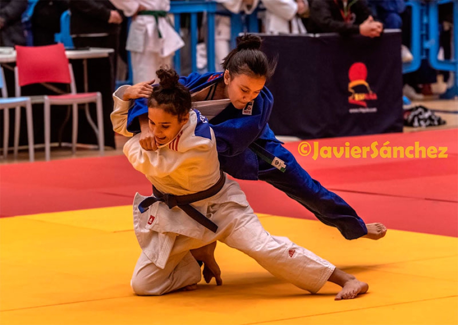 Guadarrama | Excelentes resultados para los deportistas de Guadarrama en la Copa de España Infantil de Judo
