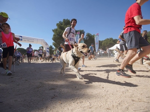 Las Rozas | El 6 de abril, vuelve CaniCross, la carrera para los vecinos y sus perros