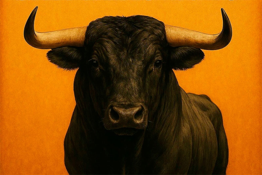 Valdemorillo | Valdemorillo impulsa aún más su apuesta por los festejos populares con el I Toro de Cajón San Blas