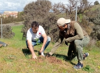 Villamantilla | Gran éxito del taller en la naturaleza “Plantación de plantones”