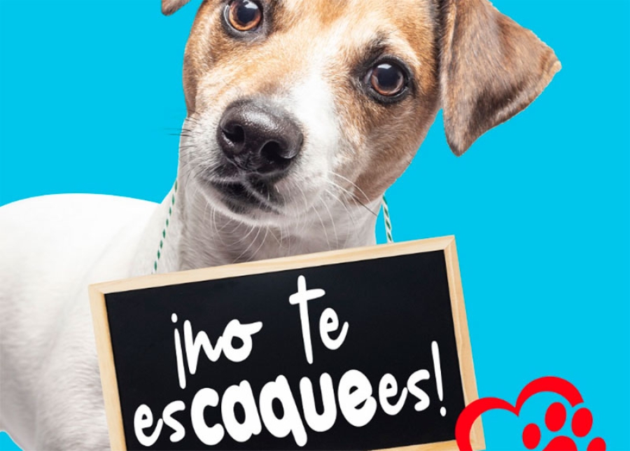 Sevilla la Nueva | Campaña de concienciación “No te escaquees” sobre la recogida de excrementos caninos