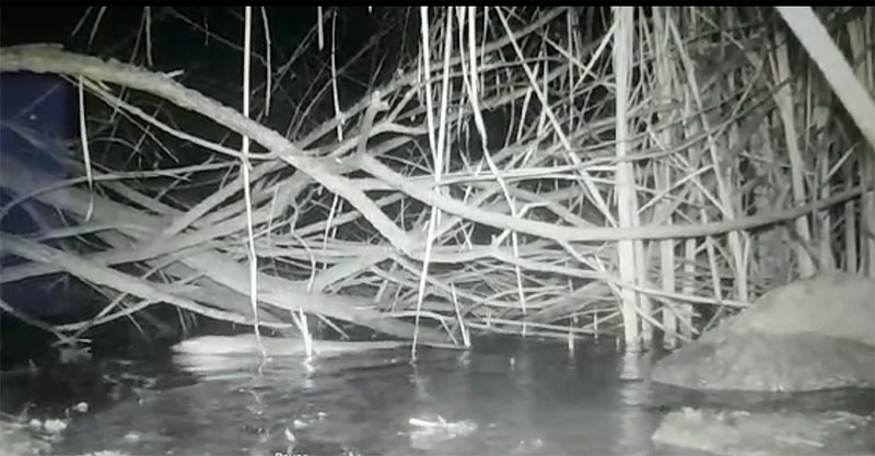 El Boalo, Cerceda, Mataelpino | El Ayuntamiento denuncia el incumplimiento del caudal ecológico en el río Samburiel