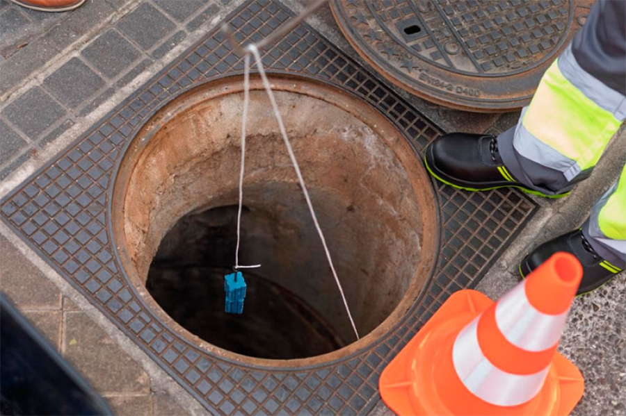 Boadilla del Monte |  El Ayuntamiento ha concluido la segunda campaña de choque de control de roedores e insectos