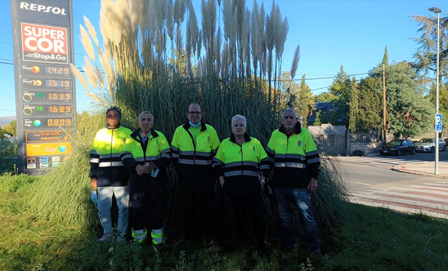 Valdemorillo | Refuerzo de la plantilla municipal de servicios de jardinería, recogida de residuos y mantenimiento