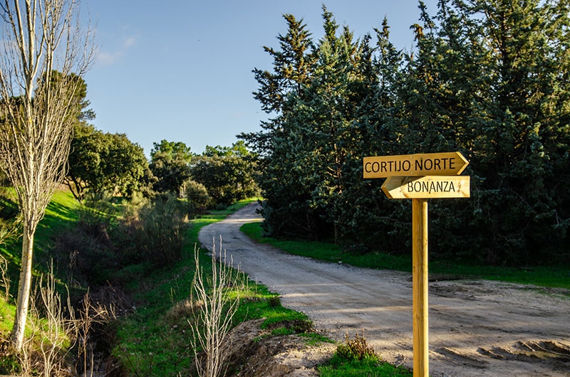 Boadilla del Monte | Una senda de cuatro kilómetros para bicicletas y peatones une Parque Boadilla, Las Lomas y Bonanza