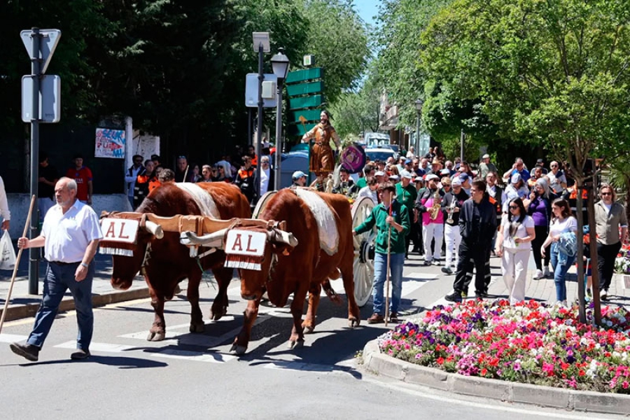 Villaviciosa de Odón | Tradición y devoción en la celebración de la festividad de San Isidro en Villaviciosa de Odón