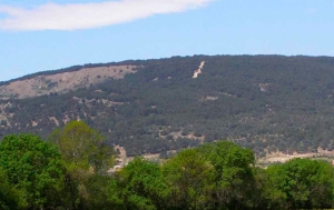 Moralzarzal | El 8 de octubre comienza la temporada de caza en la Ladera de Matarrubia de Moralzarzal