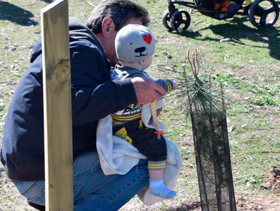 Villaviciosa de Odón | Los niños y niñas nacidos en 2019 tendrán un árbol identificado con su nombre