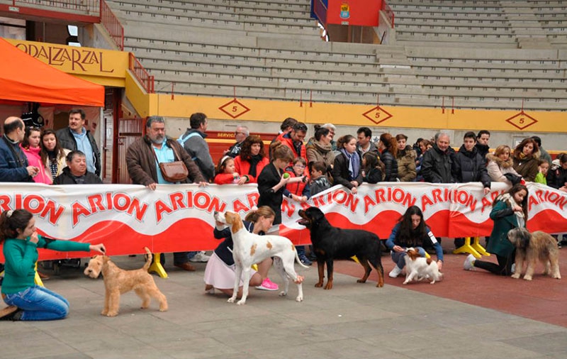 Moralzarzal | IX Concurso Nacional Canino de Moralzarzal