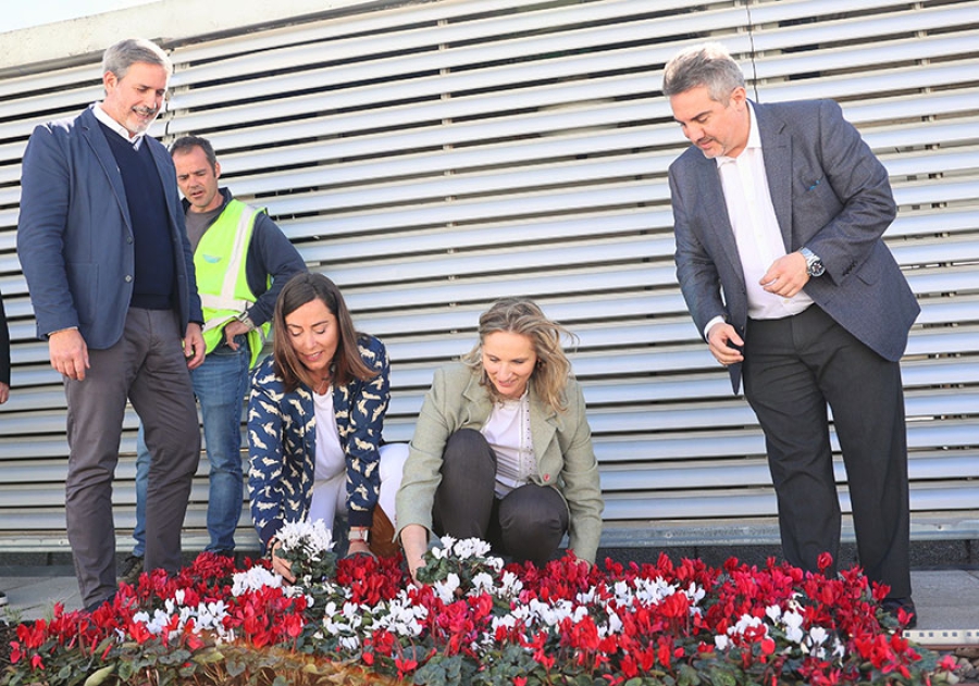 Arroyomolinos | Arroyomolinos elegido por la Comunidad para instalar los primeros tejados ecológicos en una promoción de viviendas sociales