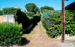 Boadilla del Monte | El Ayuntamiento realiza labores de limpieza y desbroce en las zonas verdes municipales